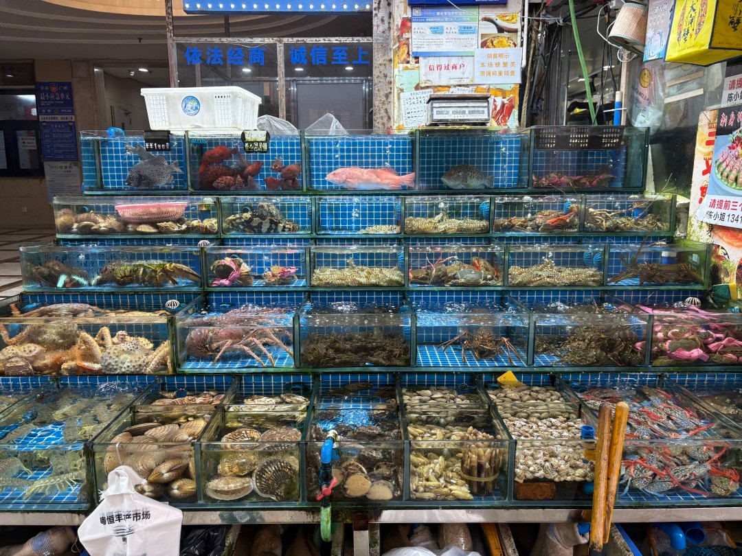 Huangsha Seafood Trading Market-guangzhou